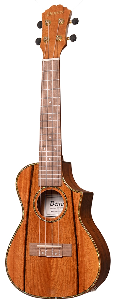 image 2 DUKECCE-MAN Ukulele - Concert with Electronics