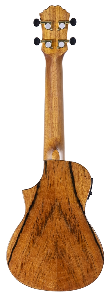 image 3 DUKECCE-MAN Ukulele - Concert with Electronics