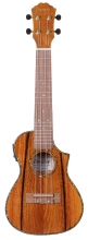 DUKECCE-MAN Ukulele - Concert with Electronics image