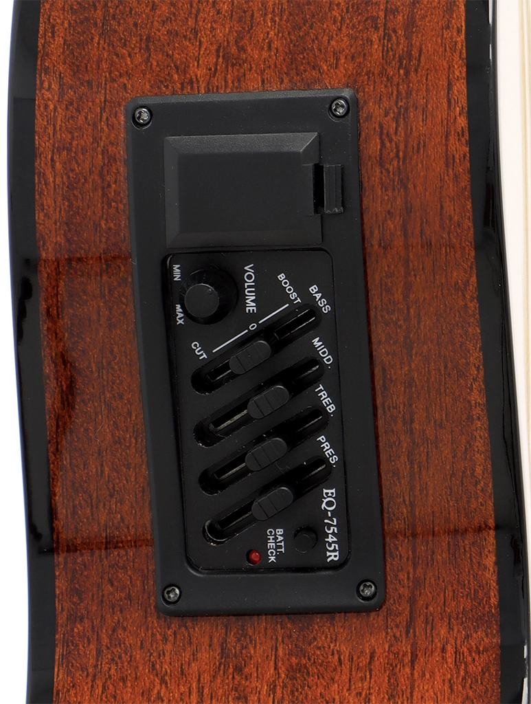 image 4 DC44NCE-NAT Full Size - Nylon String with Electronics