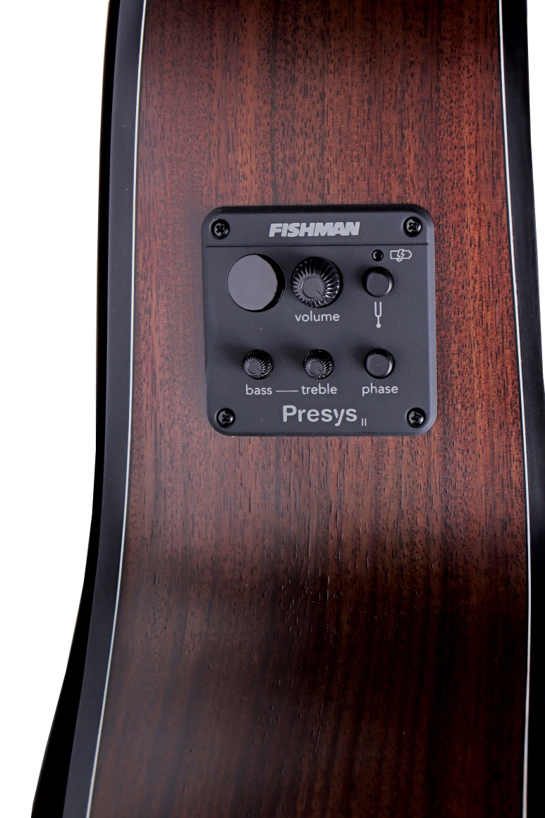 image 4 DEN-GAV-RW-E Grand Auditorium - Steel String with Electronics