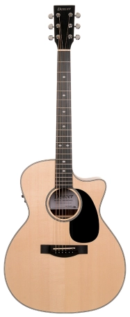 DEN-GAV-RW-E Grand Auditorium - Steel String with Electronics image