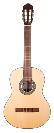 DEN-C4SM Full Size - Nylon String - Solid Spruce image