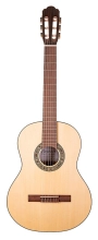 DEN-C4SM Full Size - Nylon String - Solid Spruce image