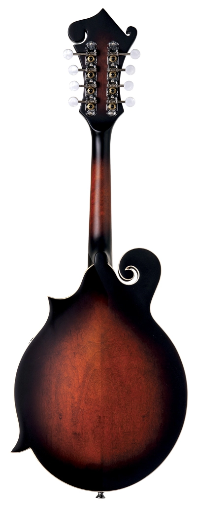 image 3 DMFS-SV F-Style Mandolin - Smokey Vintage Satin