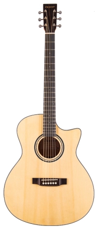 DD44SGA-NAT Grand Auditorium - Steel String - Satin Natural image