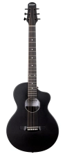 DEN-WPG-BLK Weatherproof Carbon Fiber Guitar - Steel String - Black image