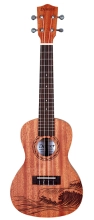DUKEC-SURF Ukulele - Concert image