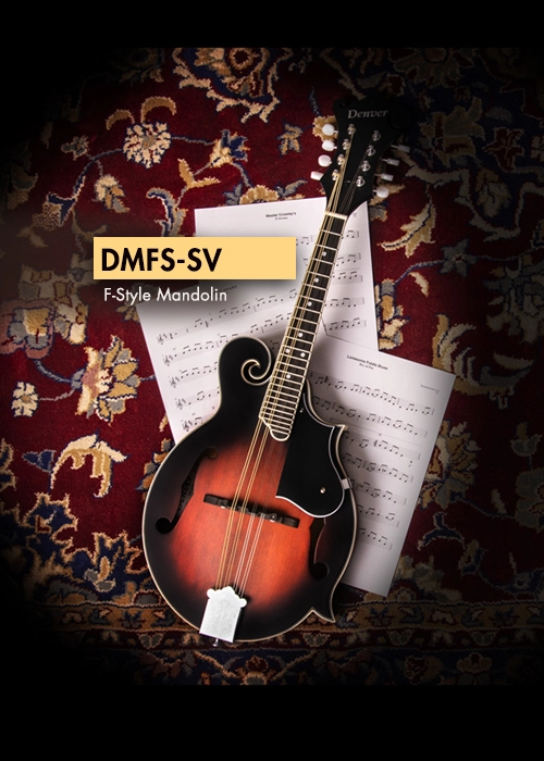 DMFS-SV banner