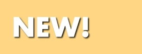 DMFS-SV Title Image
