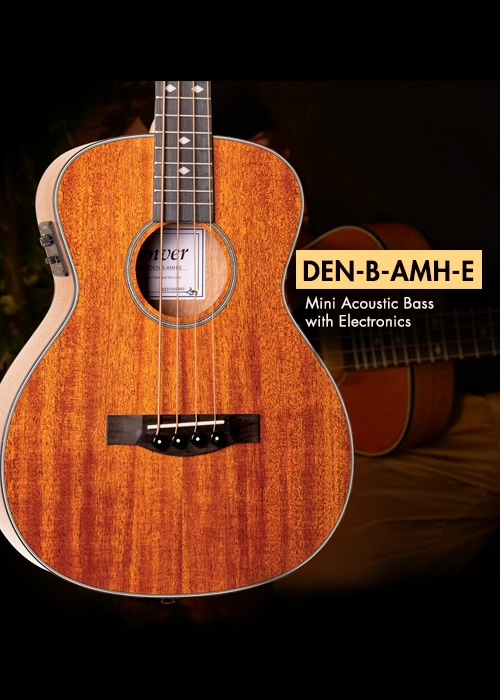 DEN-B-AMH-E banner