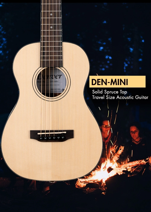 DEN-MINI banner