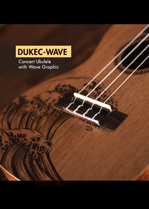 DUKEC-WAVE banner